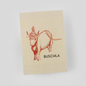 Buschla charity wordpress theme